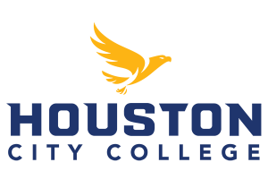 Houston City College